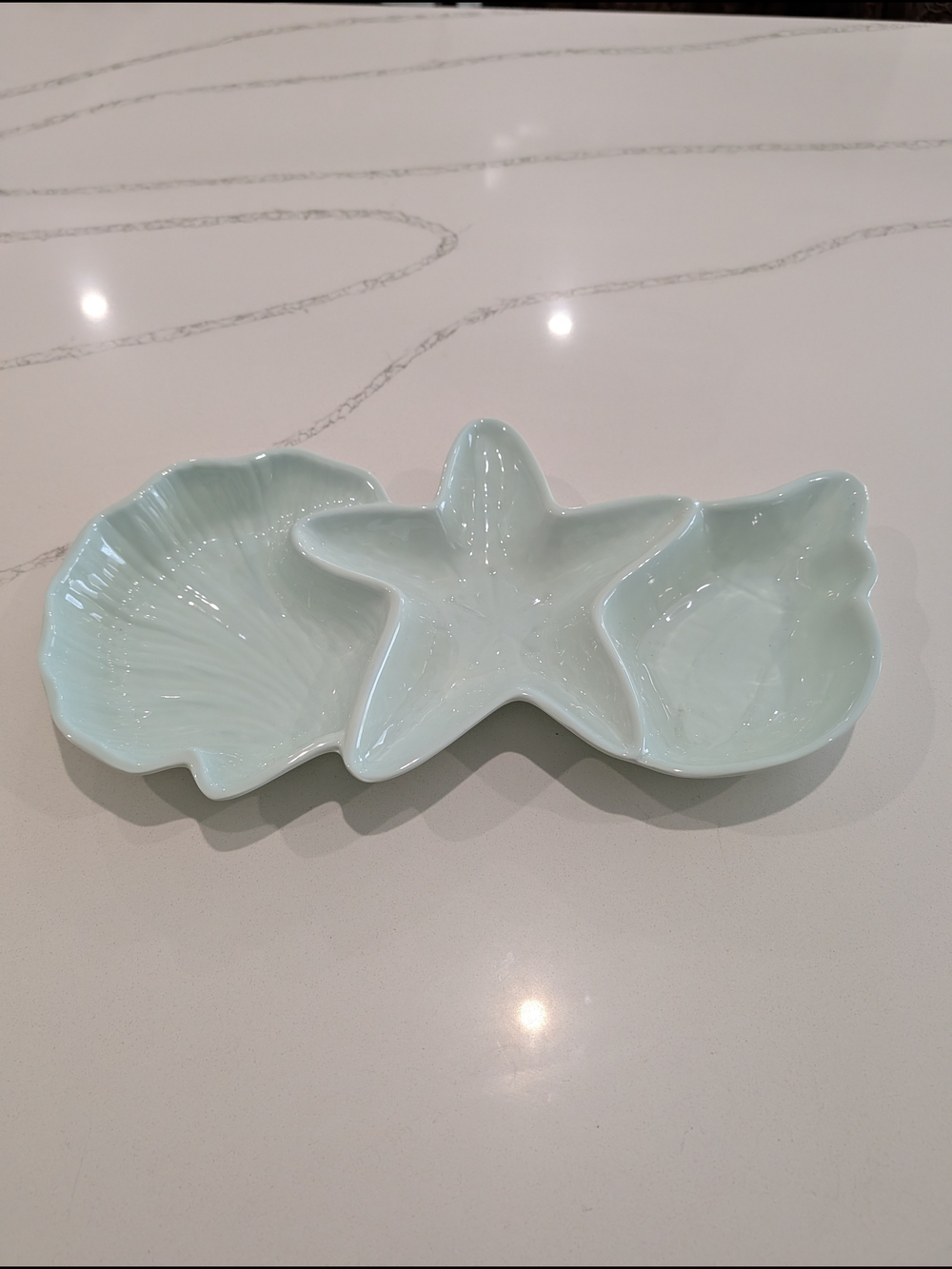 Pier 1 Imports Seabirds divided serving dish Coastal Melamine Platter Teal